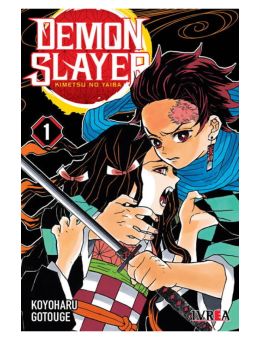 Demon slayer 01