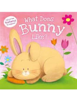What Does Bunny Like?  Touch & Feel Board Book