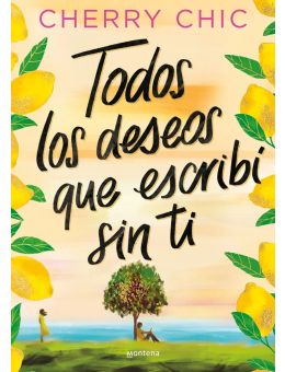 Todos los deseos que escribí sin ti