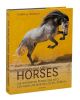 The world's most beautiful horses