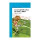 LO QUE APRENDI ACERCA DE NOVIAS Y FUTBOL