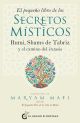 El pequeño libro de los secretos místicos