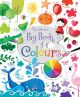 The Usborne Big Book Of Colours