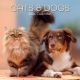2026 cats & dogs calendar