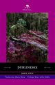 Dublineses 