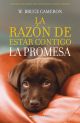 LA RAZON DE ESTAR CONTIGO LA PROMESA 