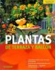 Plantas De Terrazas y Balcon