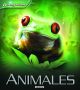 NAVEGANTES - ANIMALES