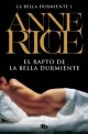 Ebook El rapto de la Bella Durmiente (Saga de la Bella Durmiente 1)