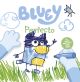 Bluey, un cuento: Perfecto