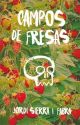 CAMPOS DE FRESAS