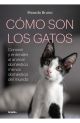 Cómo son los gatos