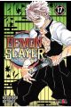 Demon Slayer. Kimetsu no Yaiba 17