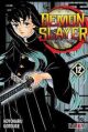 Demon Slayer. Kimetsu no Yaiba 12