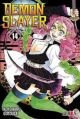 Demon Slayer. Kimetsu no Yaiba 14