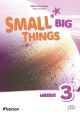 Small big things bre 3 workbook