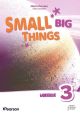 SMALL BIG THINGS 3 Activity Book