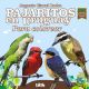 Pajaritos del Uruguay para colorear