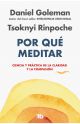 Por que meditar