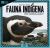 Fauna indigena en Uruguay 