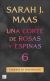 Una corte de rosas y espinas 6
