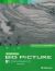 American Big Picture B1 Workbook