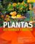 Plantas De Terrazas y Balcon
