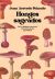 Ebook Hongos sagrados