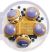 FIESTA DE WHOOPIE PIES