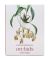 Extraordinary Orchids