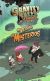 GRAVITY FALLS - UN VERANO DE MISTERIOS