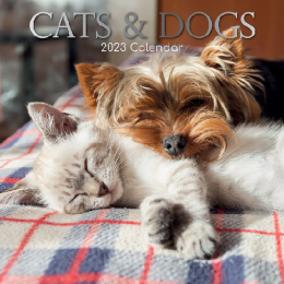 Calendar 2023. Cats and dogs