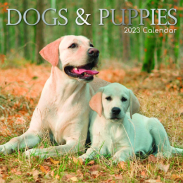Calendar 2023. Dogs and Puppies