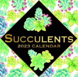 Calendar 2023. Succulents